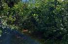 Vand teren intravilan - 3
