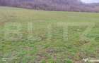 Teren superb 2.500 mp in Nicula lini?te, natura ?i p - 4