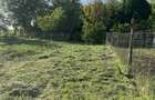 Casa Traian, acces direct din drumul Bacau-Vaslui - 1