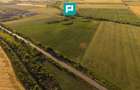 TEREN EXTRAVILAN DE 42.200 MP SECUSIGIU - 10