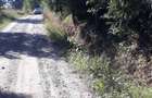 Teren 22.500 mp Saru Dornei - Neagra Sarului, intrav+extrav, intre case, acces f ok, 100 mii euro - 6