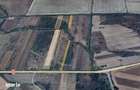 Teren extravilan 28.300 mp intre Gavojdia si Jena - 3