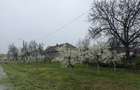 Casa cu anexe de vanzare in Com Frumuseni - 1