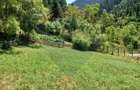 Teren intravilan 1349mp | Scarisoara | Oportunitate de Investitie - 7
