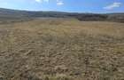Teren de 10.100 mp, zona de case, in Valea Chintaului