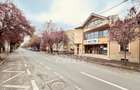 Spatiu comercial - Zona Centrala - 1