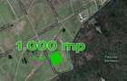 Teren Baneasa 1058 Mp Piscul Reghiului New - 2