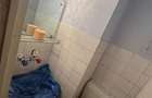 Apartament 4 camere Vasile Lascar comision 0