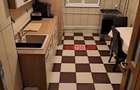 Apartament 2 camere - ?oseaua Buzaului, Braila - Pret Negociabil