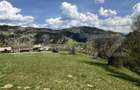 Teren in Vatra Dornei, str Rosu, 8450 mp, extravilan + intravilan - 11