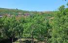 Vand casa 3 camere in sat Iclod judetul Alba - 4
