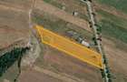 Teren 6.000 mp Carligei, Bucovat 3 km de intrarea in Craiova