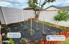 Antony Estate | Vanzare Emberlyn House - Santandrei - 3