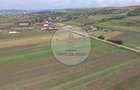 Teren 10.670 mp | Bor?a Cluj | Front 38m | Utilita?i - 10
