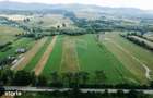 Teren 10,000mp Nemtisor / DJ 155C - 17