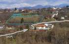 Teren Cornu de Jos Prahova 10000 mp - 3
