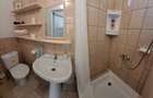Apartament 1 camera de vanzare Timisoara, Iosefin - 3