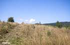 Comision0%Teren recreational 4200mp Vulcan Brasov- curent-asfalt - 7