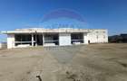 Spațiu industrial de 5,000mp de vânzare TULCEA 24.000MP intravilan - 6