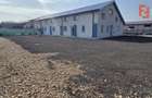 Spatiu comercial pe doua fronturi, finisat la cheie, 430 mp utili - Giroc - 2
