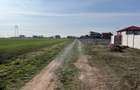 Teren de vanzare Frumusani 6229 mp 400m pana la dn4 - 5