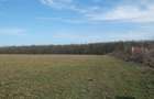 Ilfov Particular -Peninsula Ganeasa, 1075 mp. teren intravilan - 4