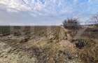 Oportunitate-Teren intravilan de vanzare, 5000 mp, zona Comu - 1
