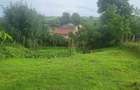 Casa saseasca renovata, cu sura - Seica Mare, Sibiu - 5