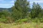 Teren Suncuius, 1000mp, intravilan - 1