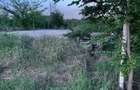 Terenuri de vanzare Ciolpani,sat Piscu,zona linistita,fara tranzit,aproape de padurea Scrovistea.
