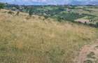 Teren extravilan 2500m2. Panorama superba.-Salicea - 5