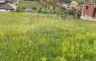 Teren intravilan de vanzare 852 mp, Medias, zona in plina dezvoltare - 2