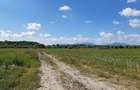 Teren agricol Podu Oltului la limita UAT Harman si UAT Prejmer - 9