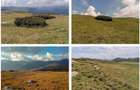 teren intravilan Padina Peștera 628mp Cocora-Babele zona alpină înaltă - 2