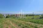Teren intravilan | 1300 mp | 27.5 ml deschidere | Cetate