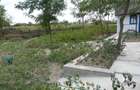 Delta Dunarii, Romania, localitatea LETEA, proprietate de VIS, - 8