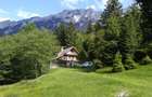 Vanzare Cabana in pitorescul peisaj din Plaiul Foii, Zarnesti Brasov  - 3