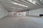 Spatiu comercial - 500 mp - 1