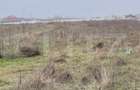 Teren 3.800 mp, deschidere 13.5m, zona Secui - 2