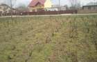 25E mp Teren intravilan  Chiscani drum asfaltat 3500 mp deschidere 14m - 1
