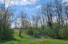 Teren de vanzare , Stalpeni Arges - 5