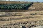 Teren mixt de vanzare, 4720 mp, acces asfaltat