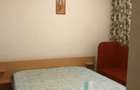 Apartament 2 camere in Grigorescu, langa Somes - 5