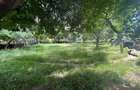 Teren intravilan, 232 mp, cartier Rovine - 2