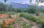 Teren intravilan de inchiriat in Mogosesti-Santa, Iasi ideal pentru diverse activitati - 4