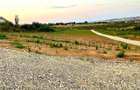 Teren Panoramic Superb, Paleu, Intravilan, 600-685mp - 3