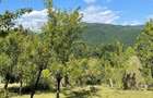 Teren de 6000 mp, în Vistieru - 1