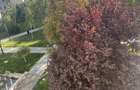 De vanzare Apartament cu 2 camere