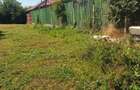 Vand teren in Palazu Mare - 4