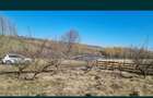 Teren intravilan 5000m in zona turistica manastirea Agapia si Varatec